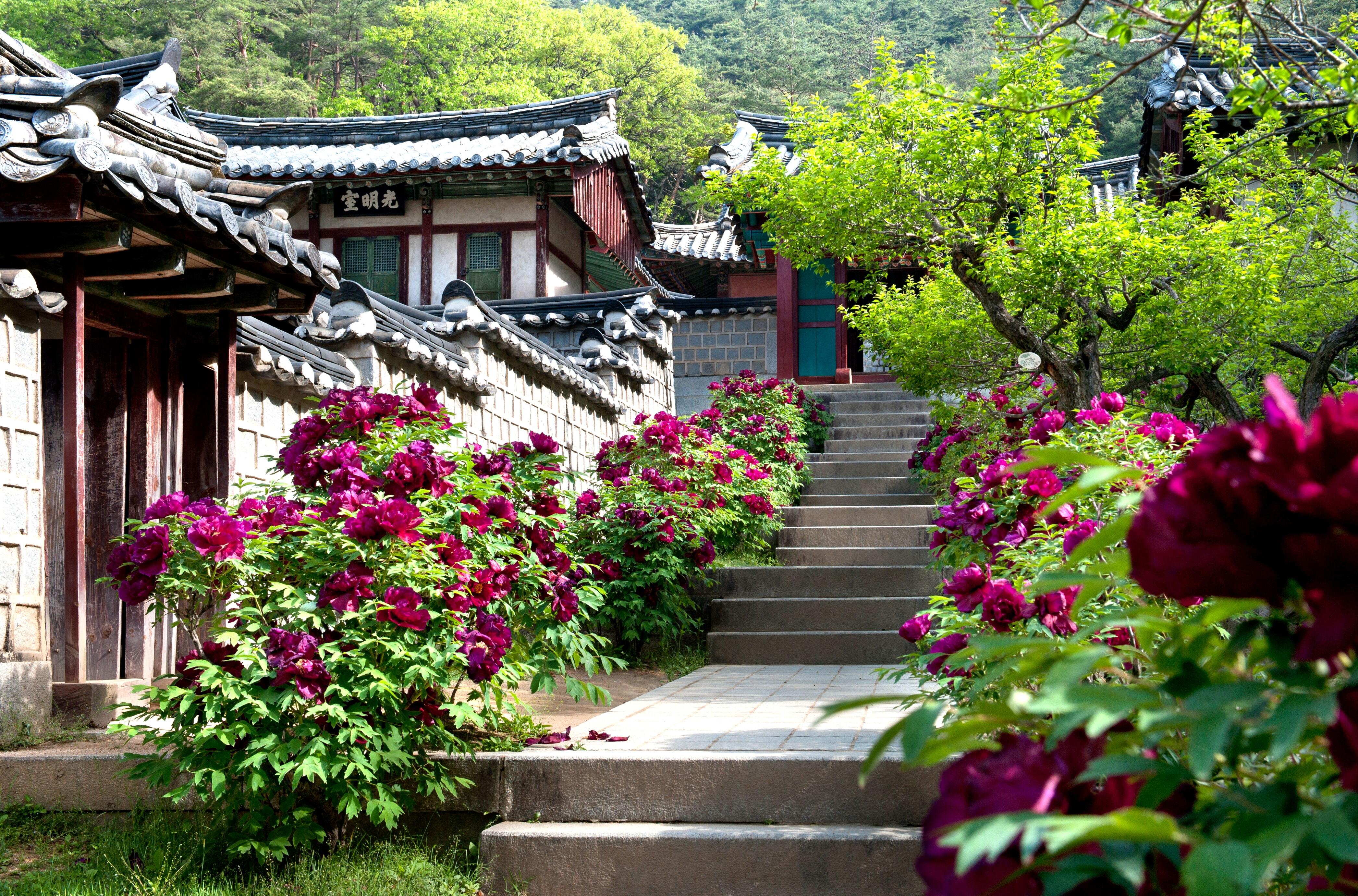 Andong_Dosan Confucian Academy.jpg